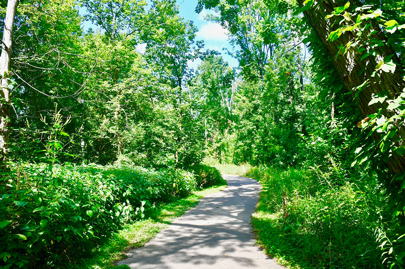 Hayhoe Trail and Riverwalk